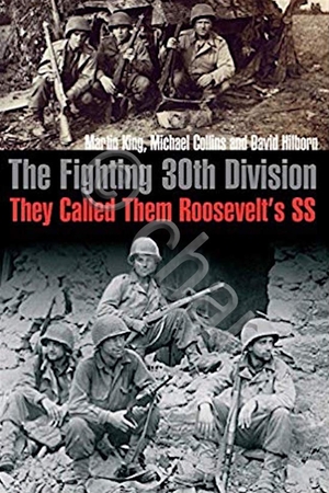 thefighting30thdivision.jpg